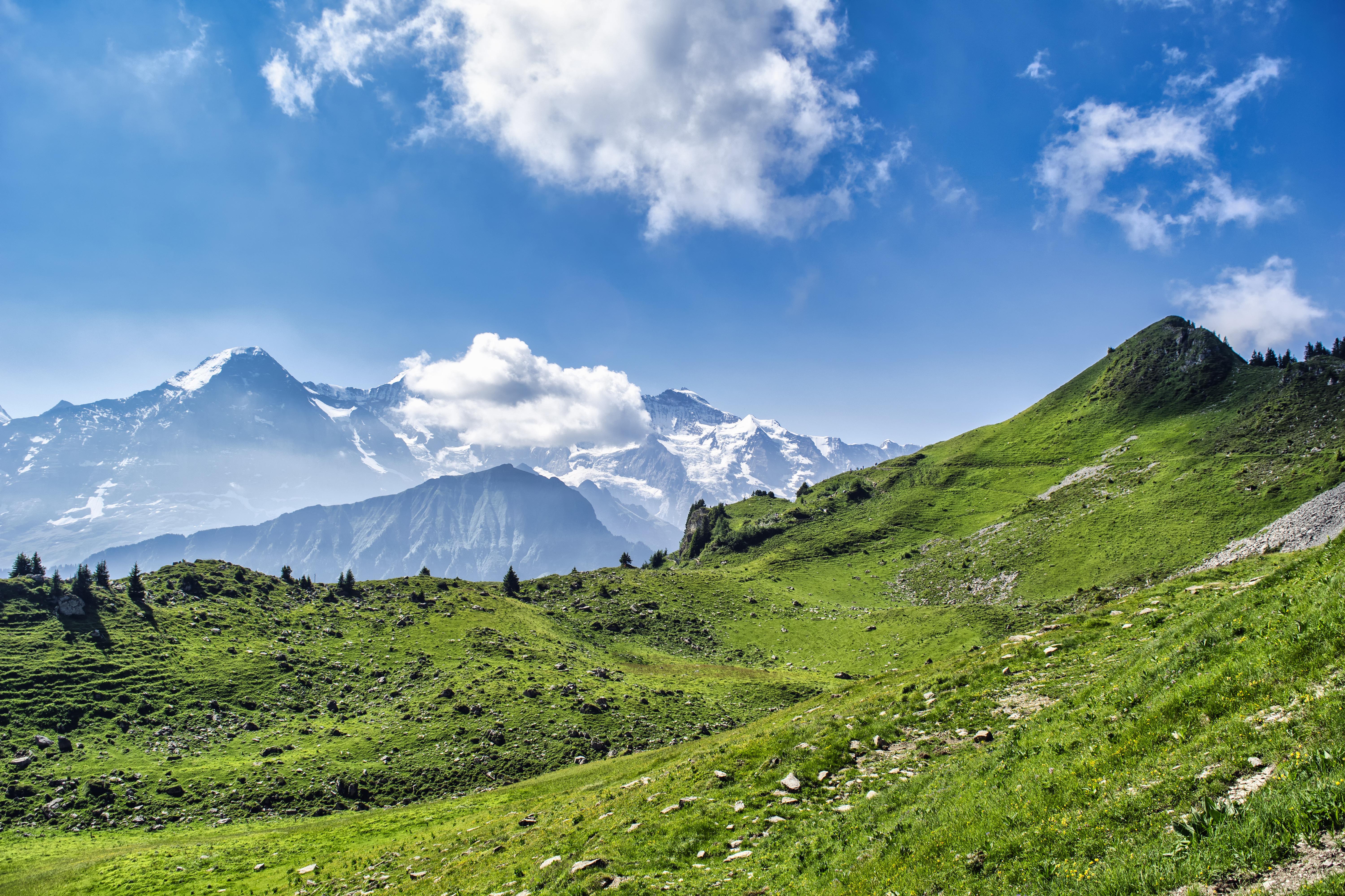 Alpen Panorama